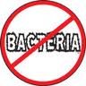 No Bacteria
